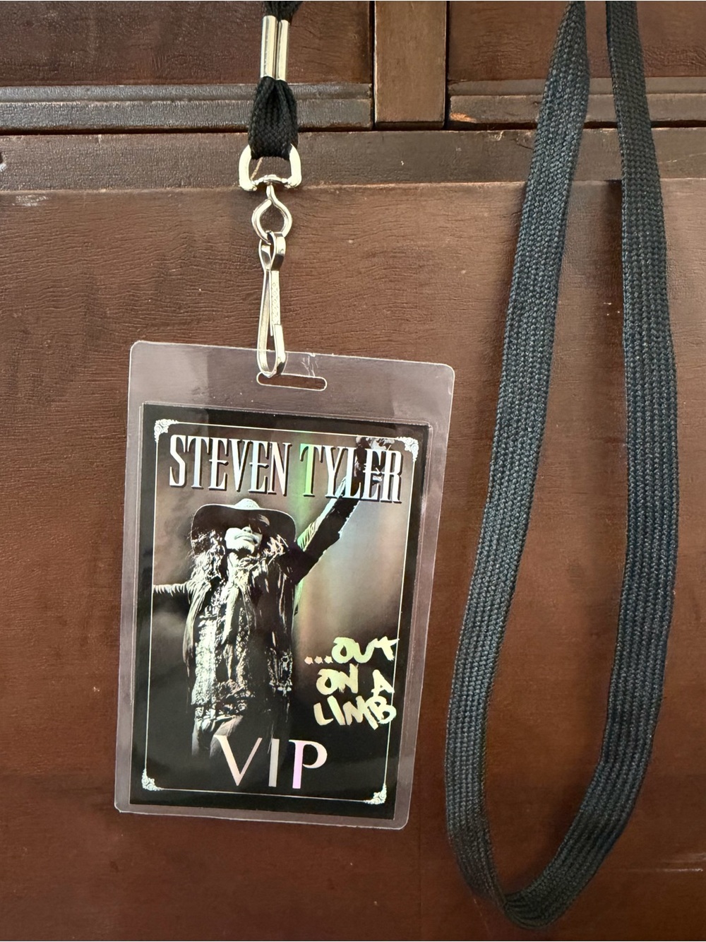 VIP backstage pass * STEVEN TYLER * 2016 Out On A Limb tour, laminated lanyard
